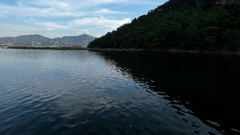 Akşam saatinde Dalyan Çayı, koyu ormanlık yamaç ve hareketsiz su