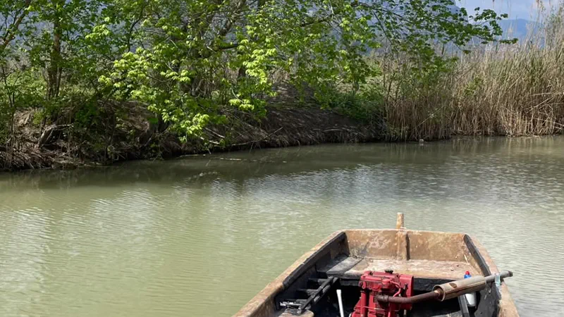 Dalyan deltasında geleneksel düz tabanlı balıkçı kayığı