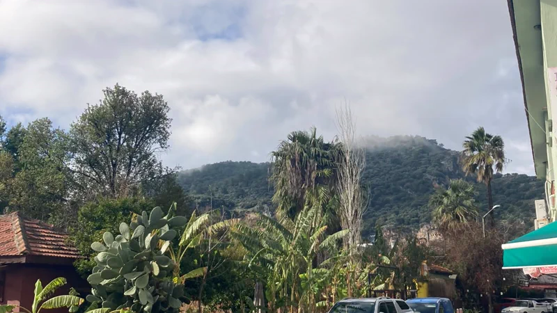 Dalyan’da çarşı sokağı: muz ve palmiye bahçeleri, dükkân tenteleri ve arkada kayalık tepe
