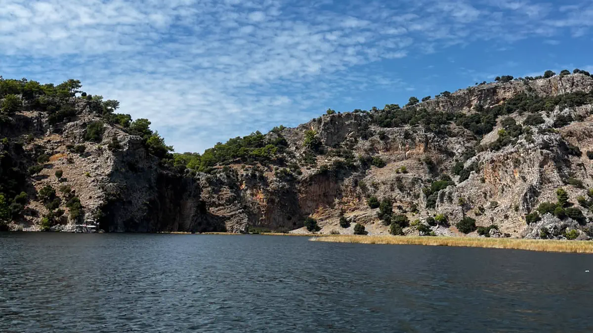 Dalyan Çayı kıyısında çam ve makiyle kaplı kayalık yamaç ve su kenarındaki sazlık şeridi