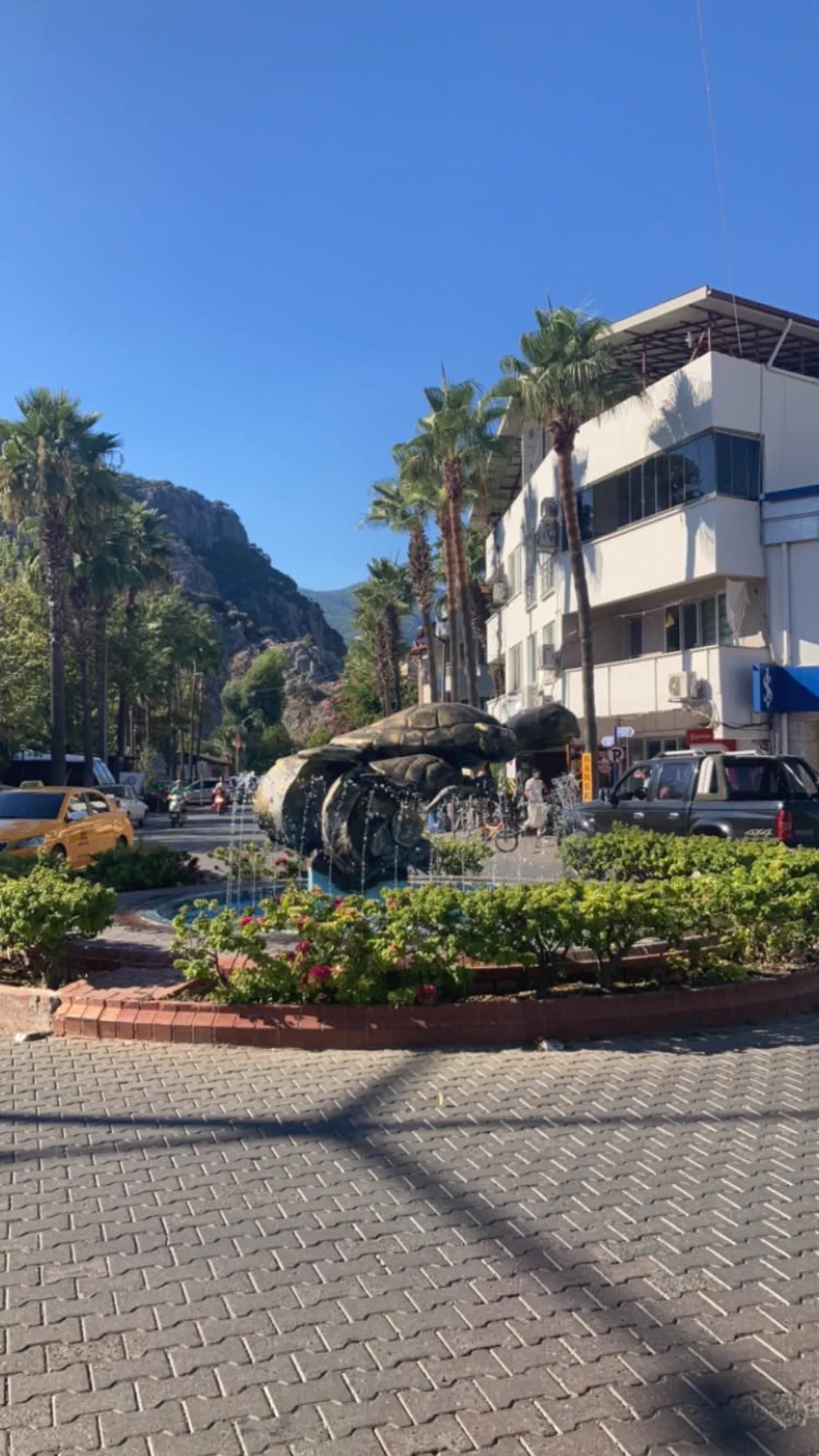 Dalyan meydanındaki havuzda caretta caretta heykeli, çevresinde palmiyeler ve arkada kayalık tepe