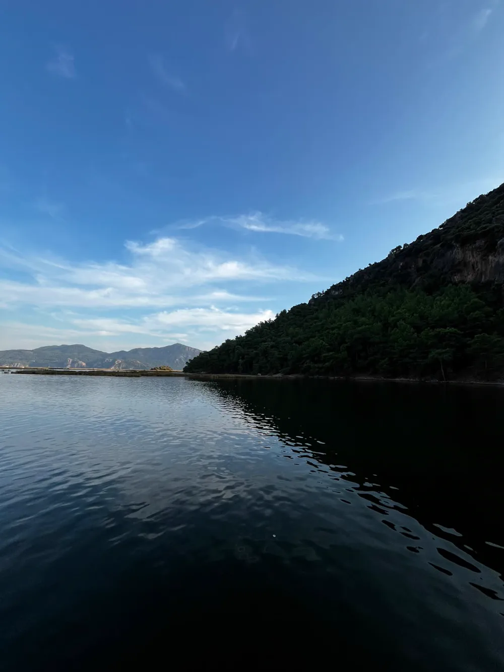 Akşam saatinde nehrin koyu ormanlık yamacı, hareketsiz su ve uzakta dağ sırası